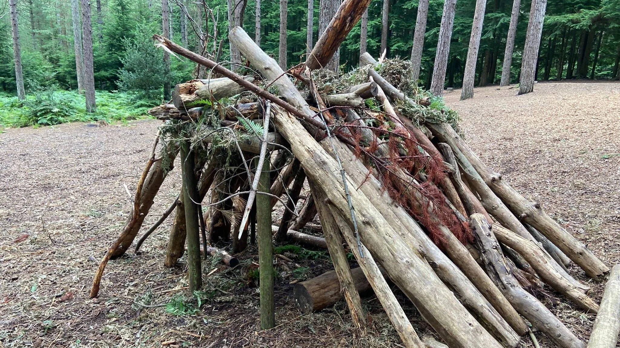 How Forest School Benefits Children's Learning - Mamabodhiriver.co.uk